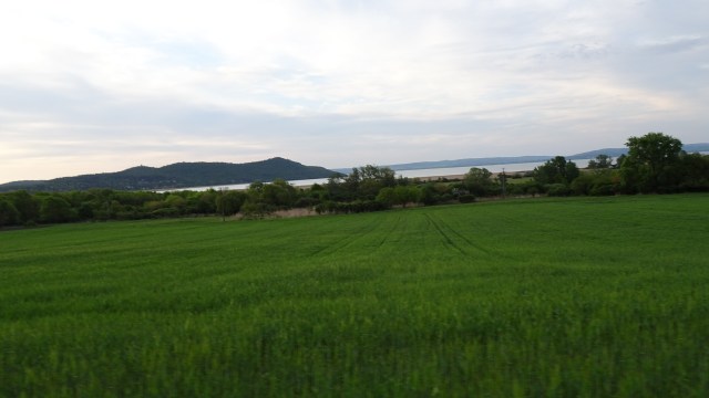 1E3332F9-9686-4C80-912A-8BE86F2B6466