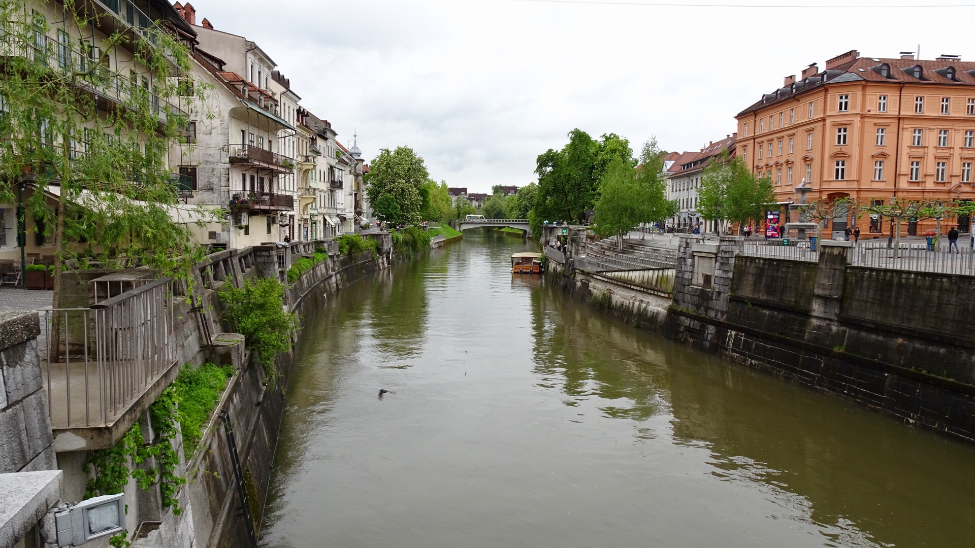 1E9663E4-F10B-49AF-B0FB-E982F5C20E5F