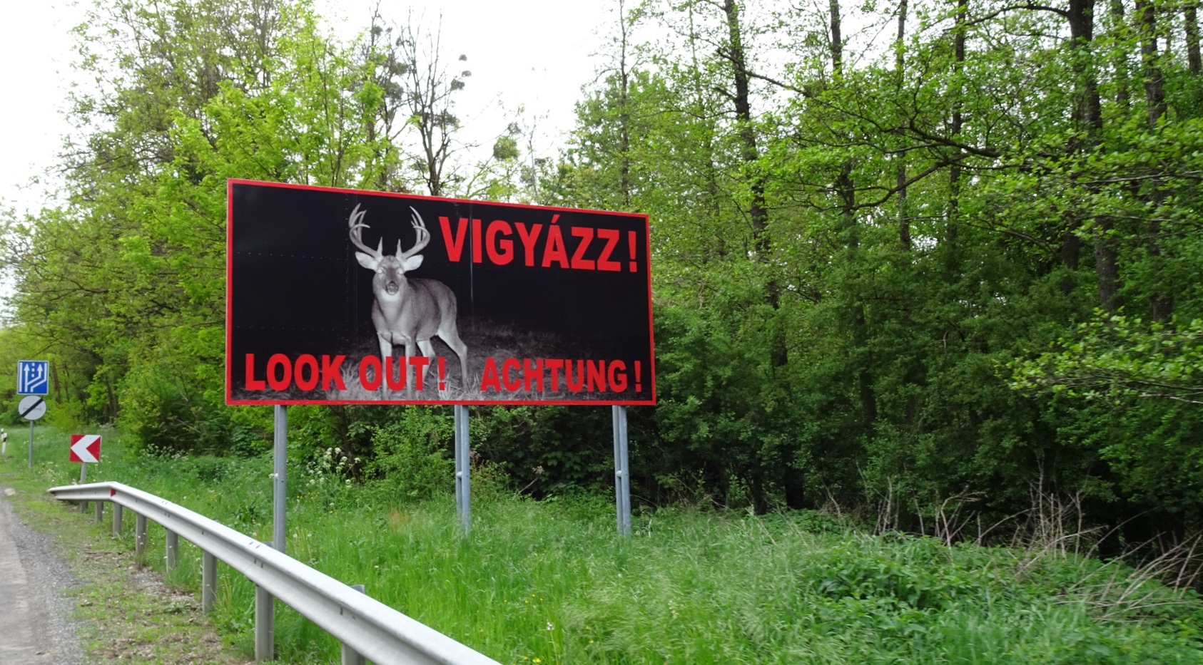 201BAB4B-F7AD-43B9-9304-6981AE6DF5DB