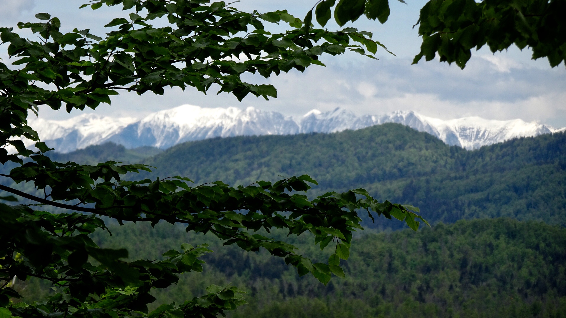 206B6381-26AF-4316-B3EA-BE20DC07B600