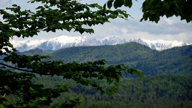 206B6381-26AF-4316-B3EA-BE20DC07B600