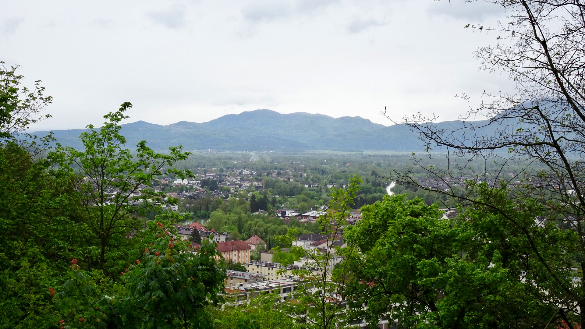 27231B4E-241A-4790-B7CC-B39A3D4D2E1F