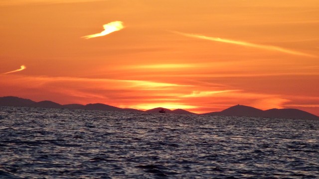 274E02BD-5DE2-405A-AC31-5D5506DF2C0E