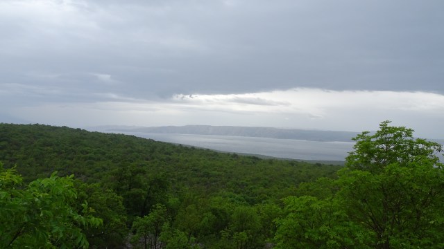 2A161593-F9E1-4159-B15D-2D67DE82059F