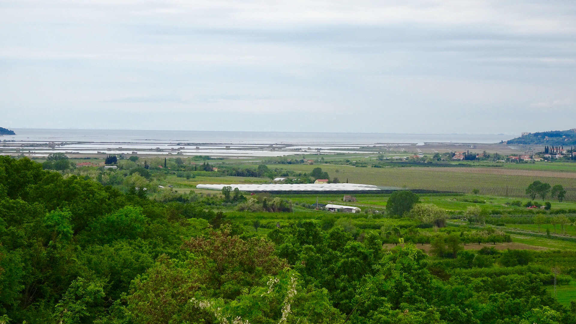 2A4E0732-680C-40F0-82F4-FCA5DC22062F