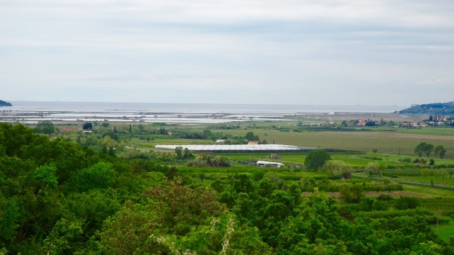 2A4E0732-680C-40F0-82F4-FCA5DC22062F