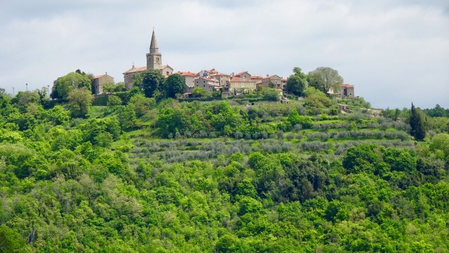 2C976693-0A26-4004-AB7E-766EED3E474A