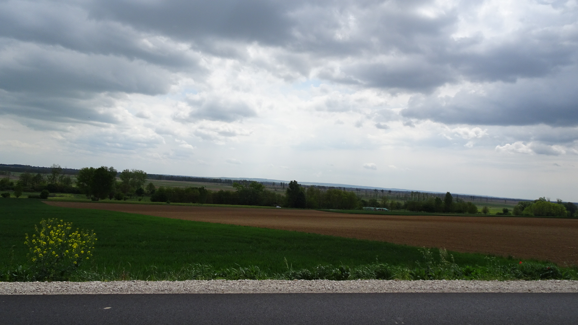 31EB1A56-F802-444F-A0F8-86CAB02A9B52