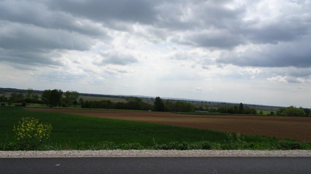 31EB1A56-F802-444F-A0F8-86CAB02A9B52