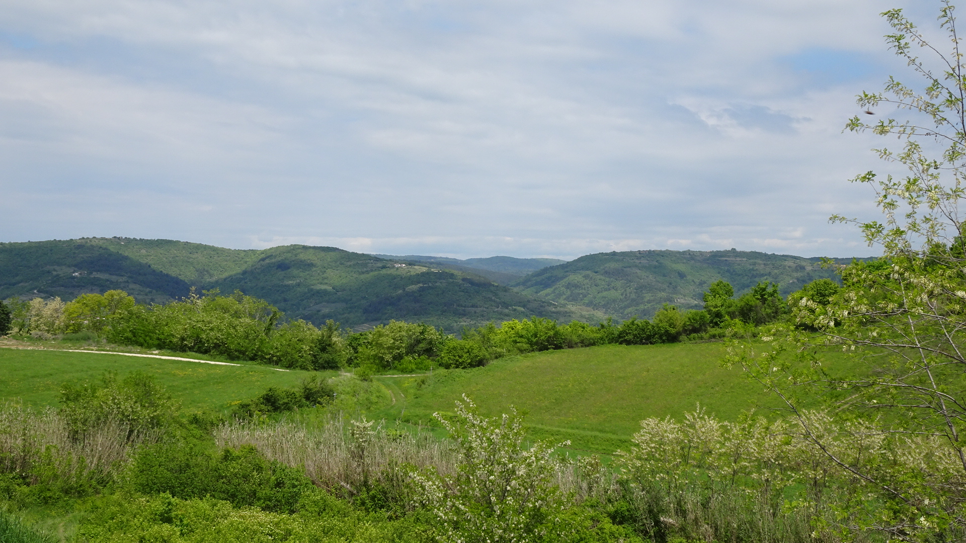 378C90C5-3183-4602-8692-3BCE84164AD6