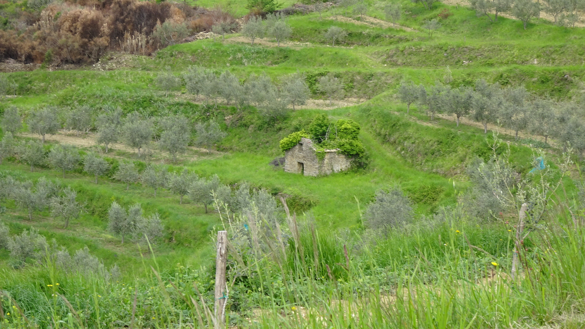 3957B96D-9F98-4EAB-A40A-D55EB1A791B2