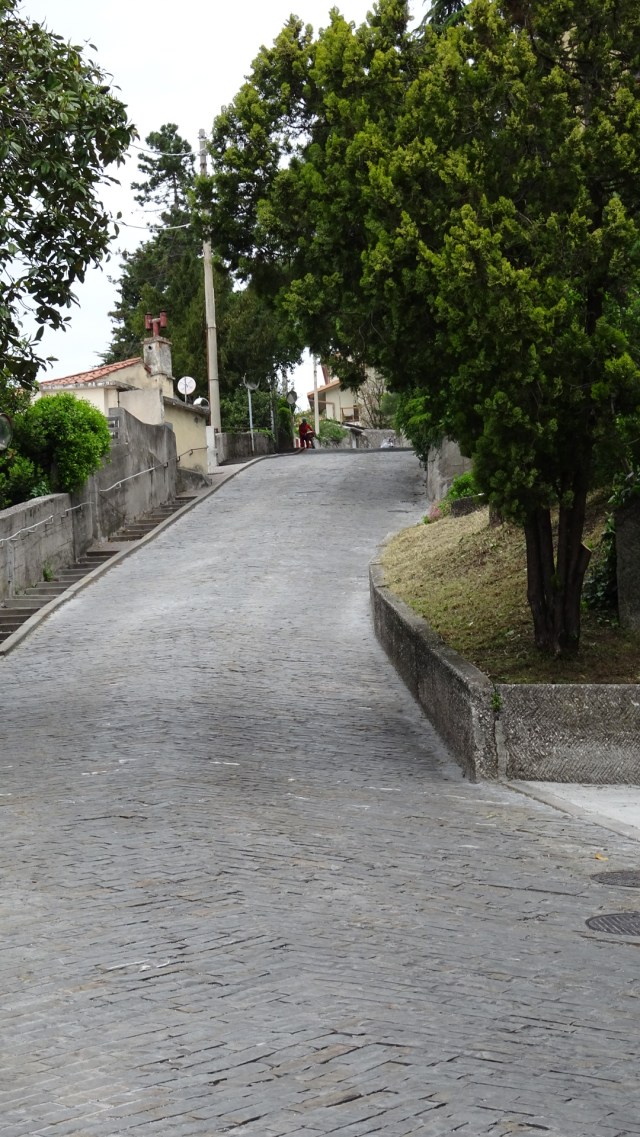 397275D8-39F5-4D63-9C0F-4FB1ADD21DC8