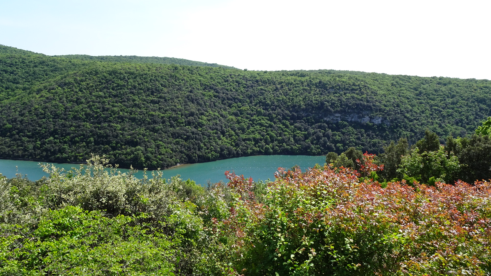 3999A627-96D7-4E53-8CC8-26DE08C33E97