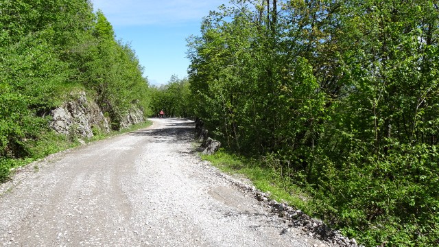 51F3570A-3561-4F84-9951-70A4358F5618