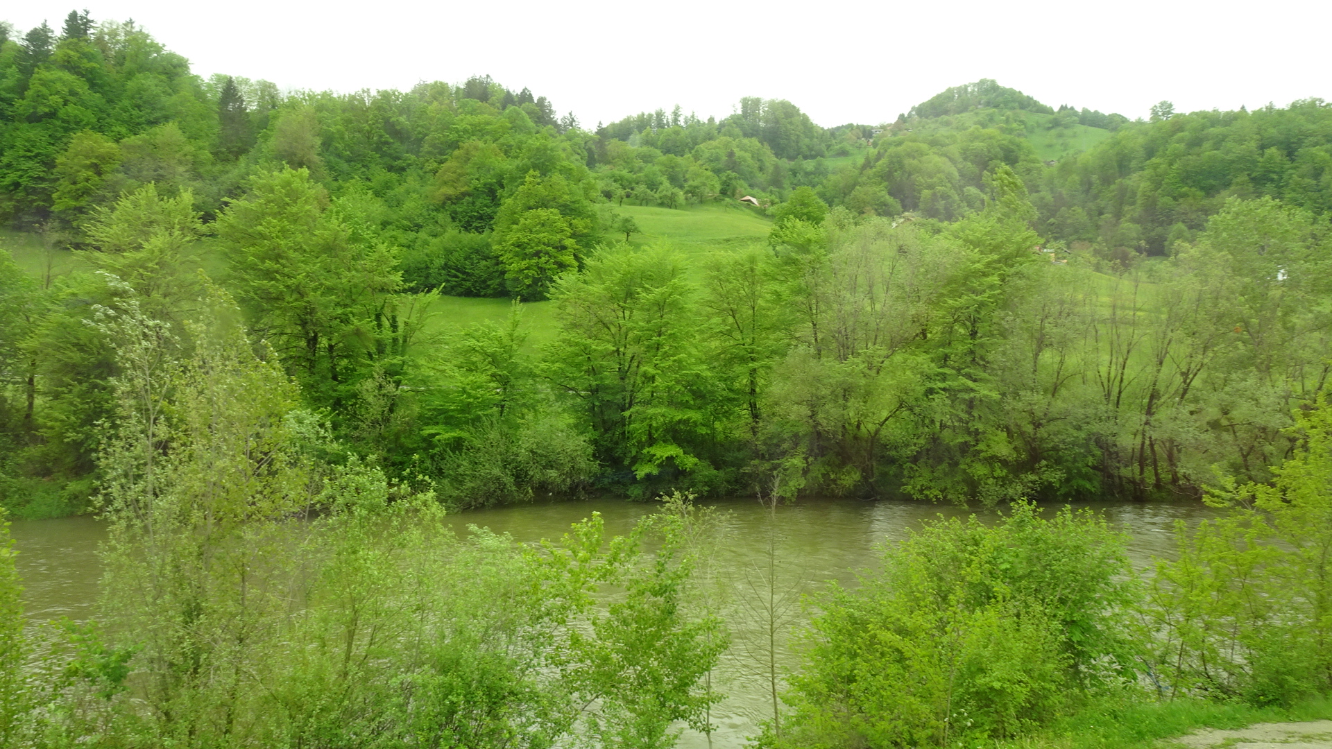 53266CEA-9C15-4593-9404-C9A10946833C