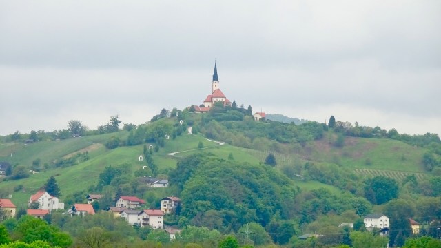 56C873E0-7475-4657-9FE9-1C98F75D2A80