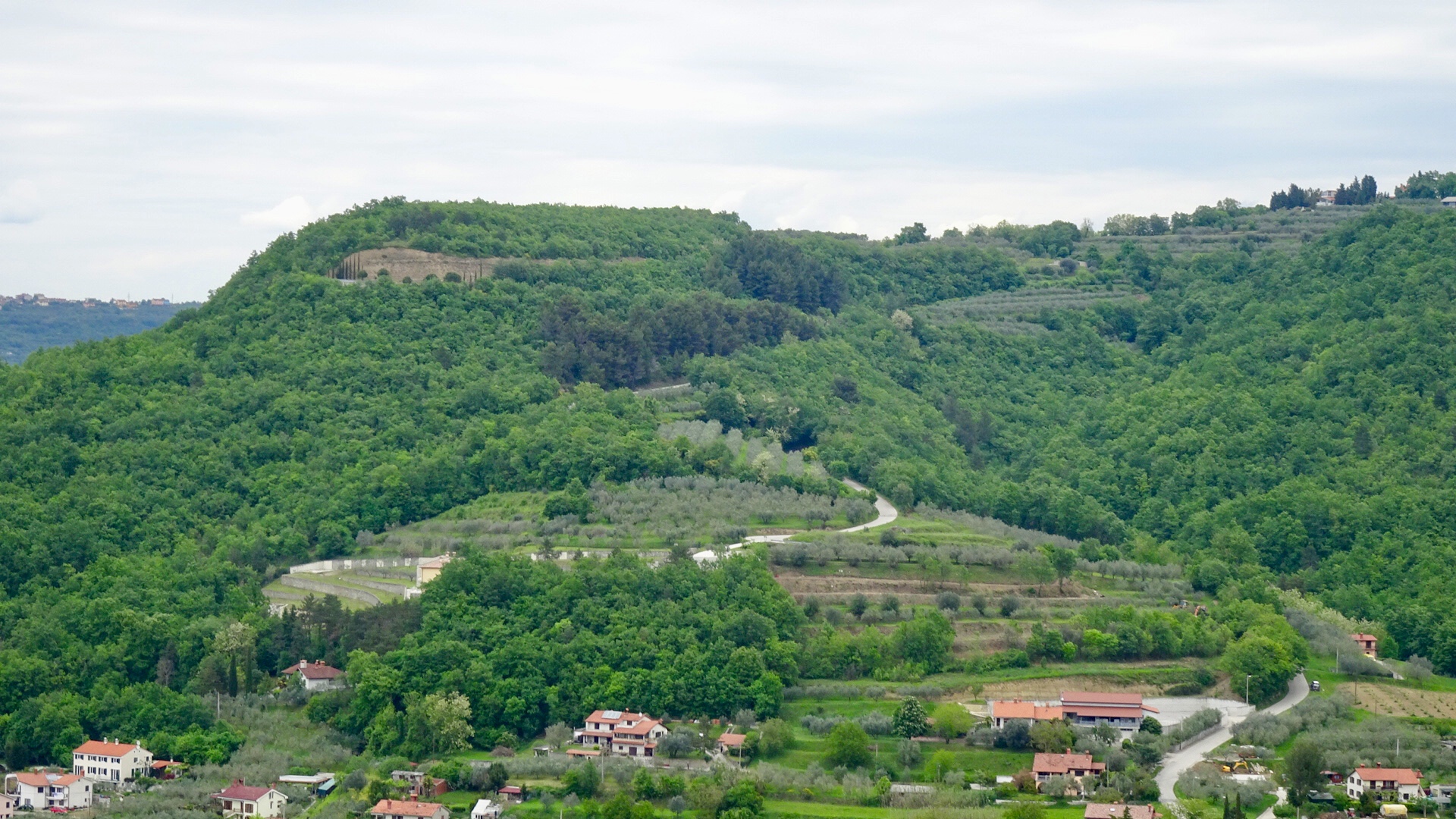 5CA46F16-C1E9-4E37-B085-A9C220C7F567