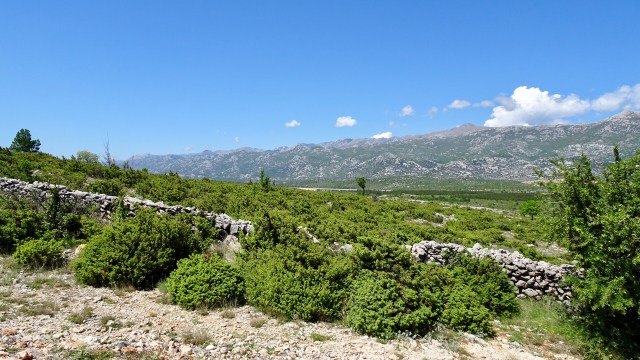 5D431E02-8A0C-4A59-A2B1-7403DD65E48B