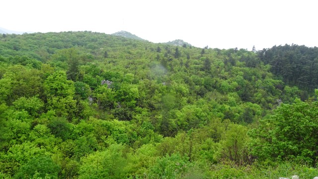 5F3C9D7B-18D2-4FD6-8148-3AF322DF2745