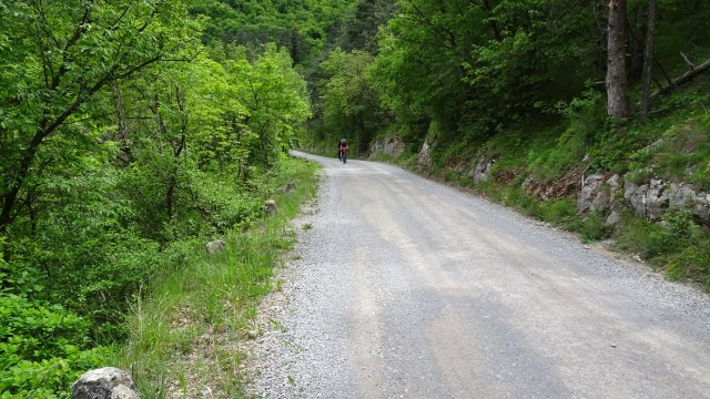 5FF9D52C-3750-45F3-8BD0-FA07D4071ACE