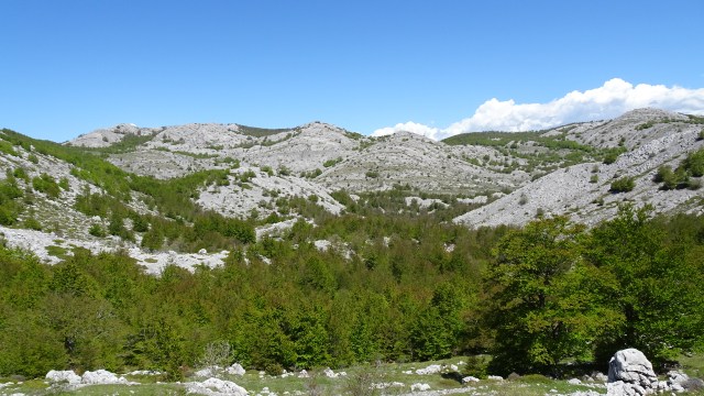 61A2B25E-99E2-4168-9CEC-D669D5F426C4