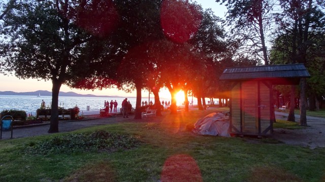 6593733E-77F6-4A86-93A9-C26E96005A6C