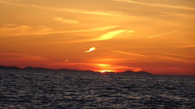 684E8766-7F5F-4D03-8338-46648AF44CC8