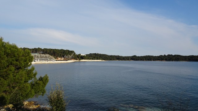 68C77BDC-FDF4-4B4F-84E4-9D3E37A2AB94