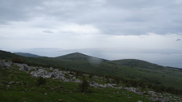 6C36DAE1-4939-4393-866B-559933C9D66A