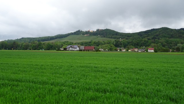 6C50B46F-656A-4D61-8C72-109FA9B9E451