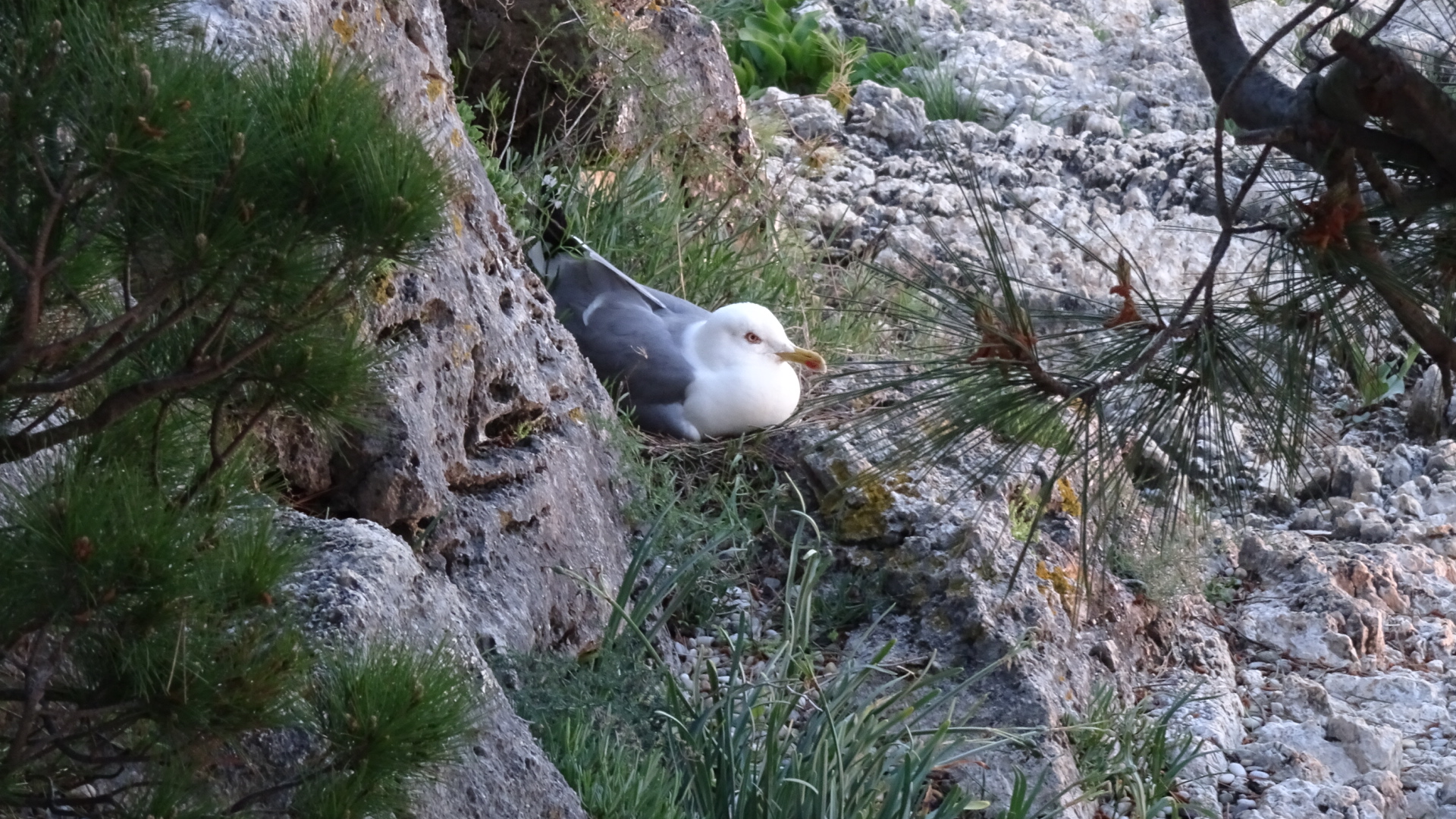 6CC8A0C5-42A4-46C3-BF6F-6D8DF25608CA