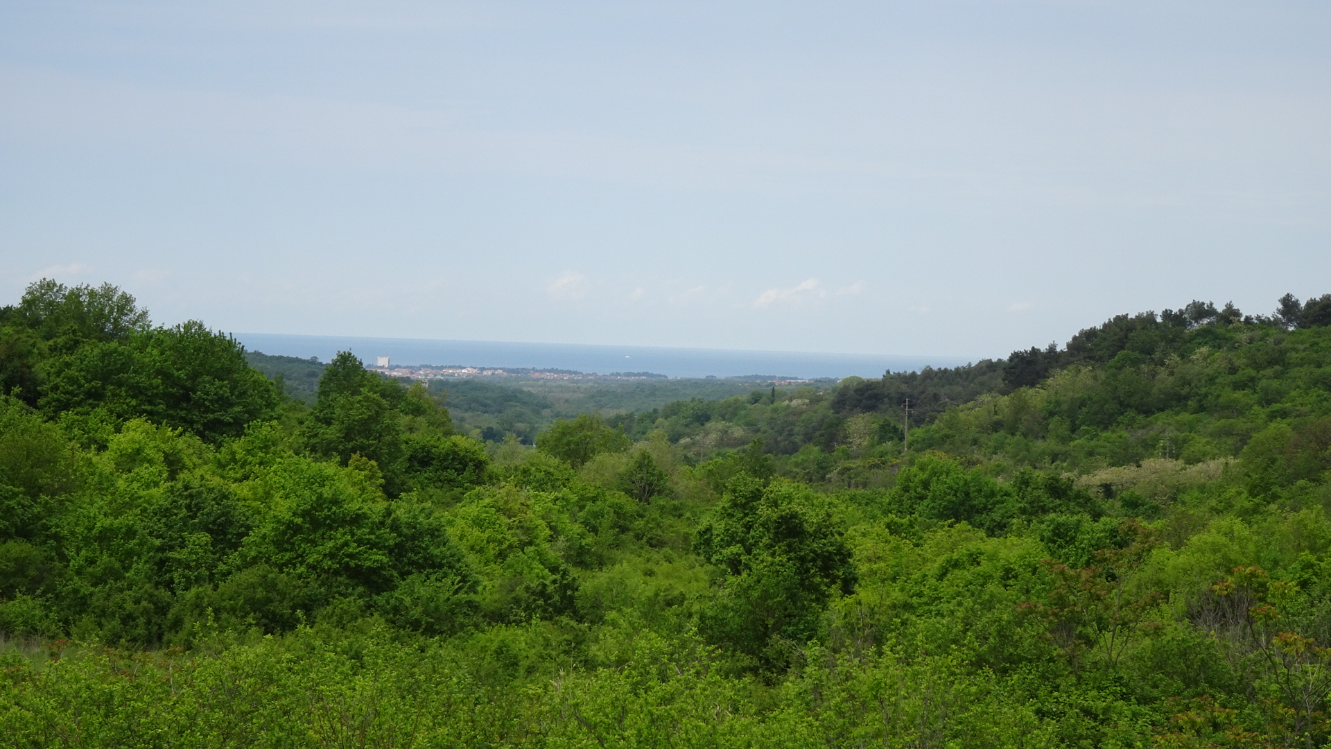 6E4E5588-8300-45E0-8533-A878C4EFE60E