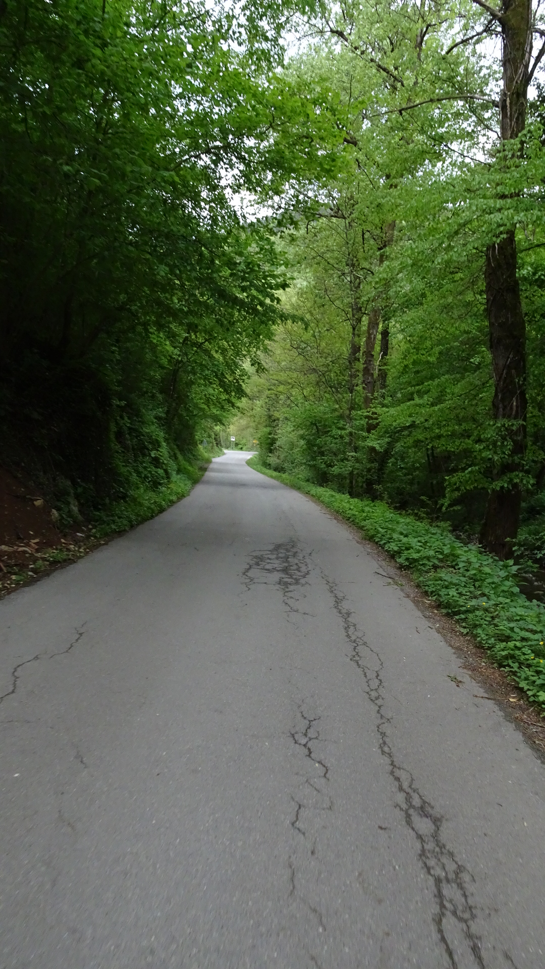 6E64D673-7F3E-4285-8BE2-00BDCCBD029F