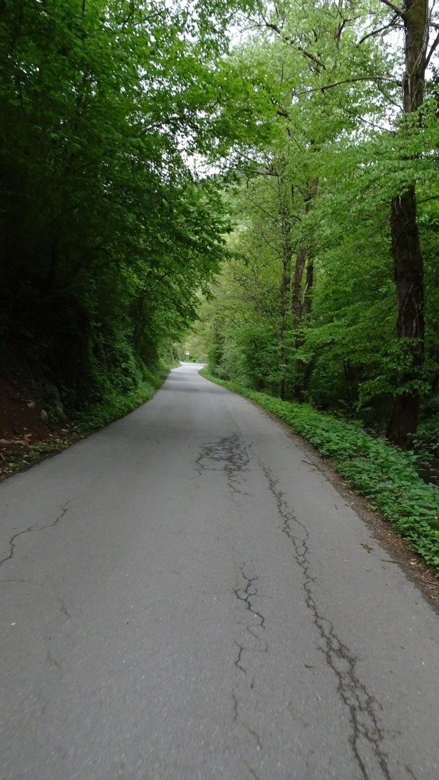 6E64D673-7F3E-4285-8BE2-00BDCCBD029F