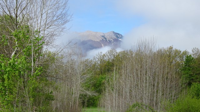 74C3D884-4FA5-4793-BA1D-127075396ABA