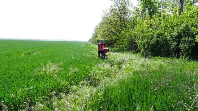 764D475C-AAC4-457E-88A2-B69268E3D0FA