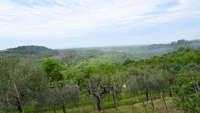 8066D450-BC41-42E1-8851-C9811AEEEFDF