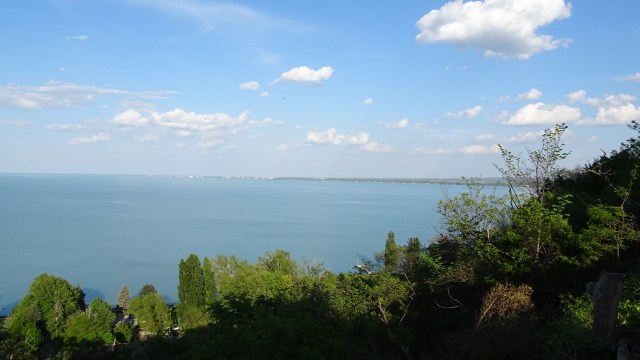 813F7C4C-B4C8-4E7B-B3E8-260AF4DA843E