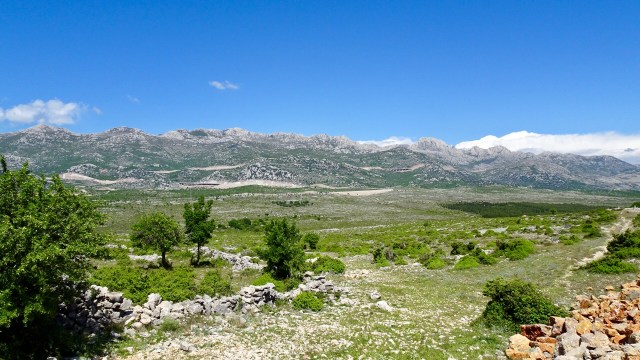 84A2572D-8451-4AF3-8070-A6D0A6C4FDF1