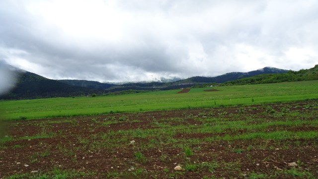 86D025E7-520D-4864-8DAB-E86012FCF6E0