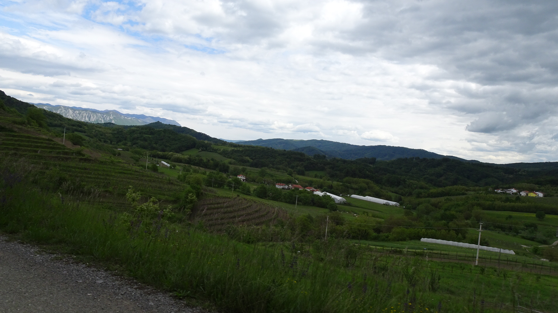 86E5498C-F69C-4AF9-B8BF-CE186A88688B