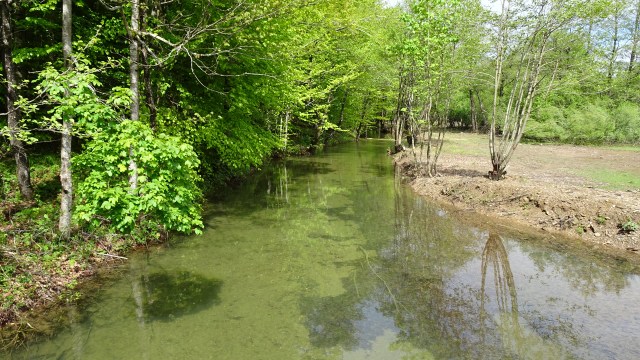 8809824F-6793-41DB-B35C-757439021F47