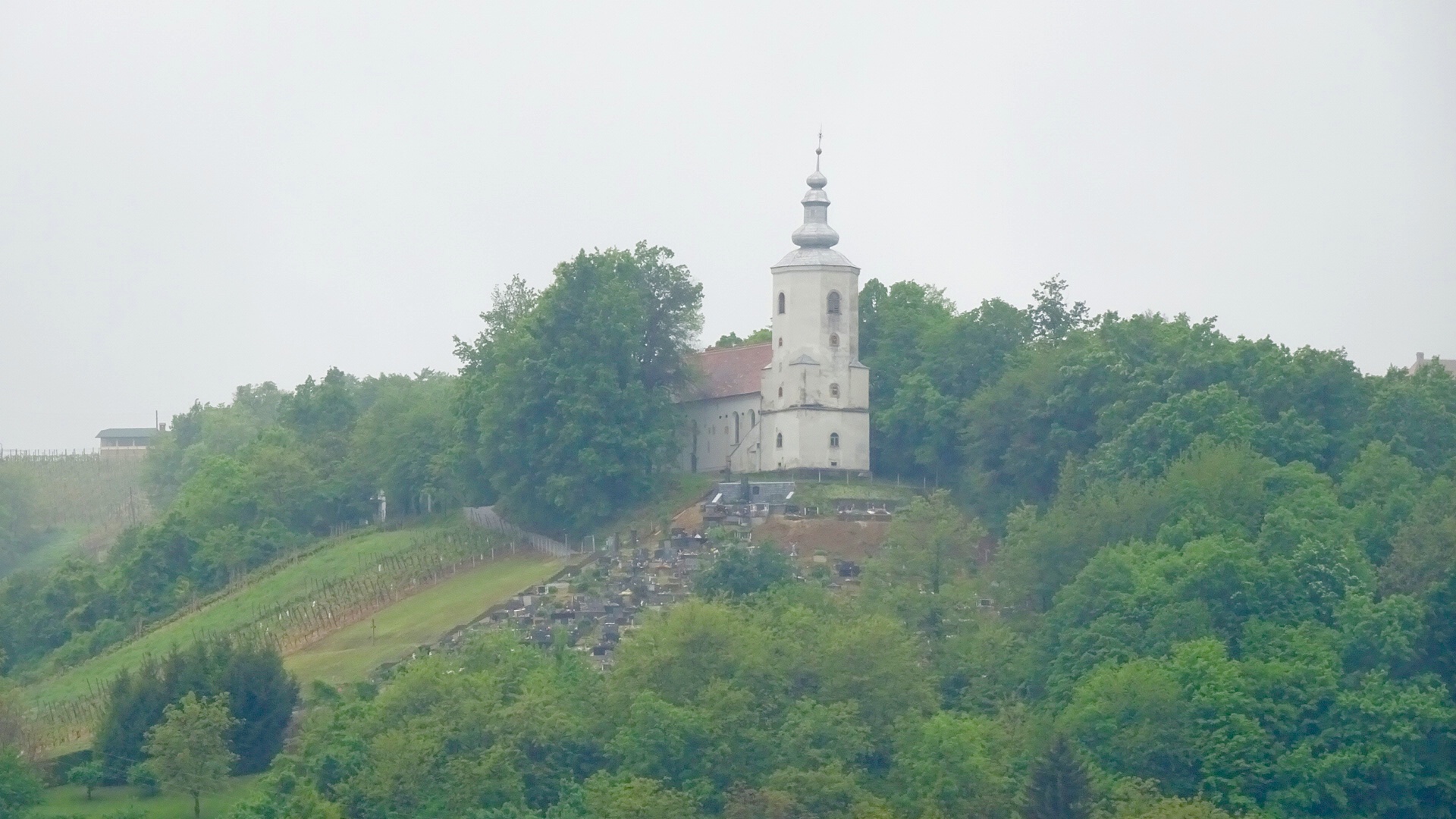 89426F17-D309-4DB7-A983-3DBD2829CE1E