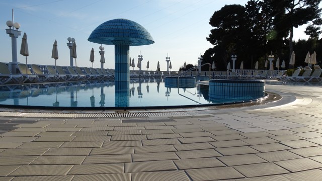 8E6FB4C5-3C74-4561-9869-2339AE7A1DD6