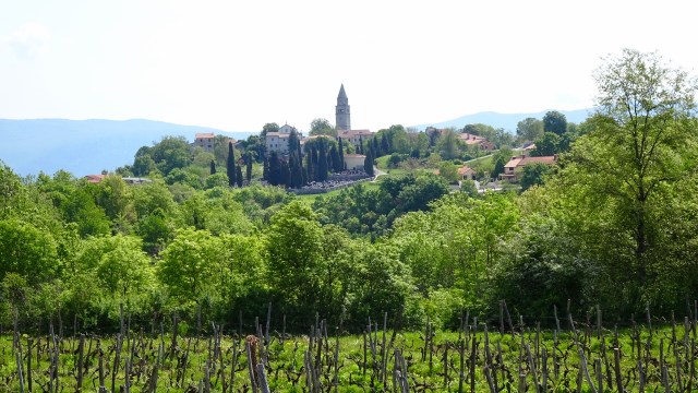 8F8ABEC3-88CD-4D09-9CDE-1CF9C330B645