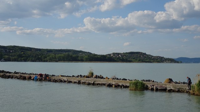 8FE9C8DB-A942-43E4-9B63-4CD936CFD46B