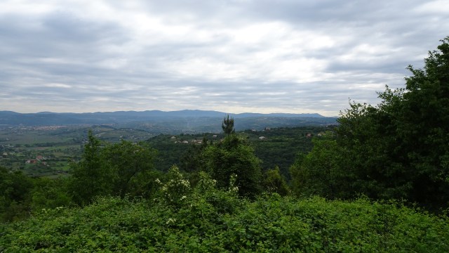 939A8470-E04B-47DC-BA0F-5F16DF45DFB1