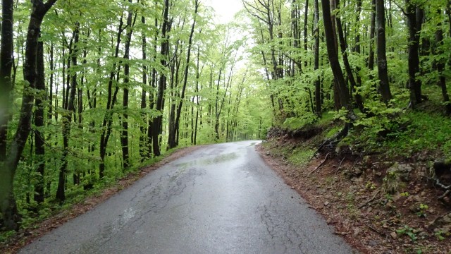 93AC60B9-87AD-4E46-918A-80F628BDC33B