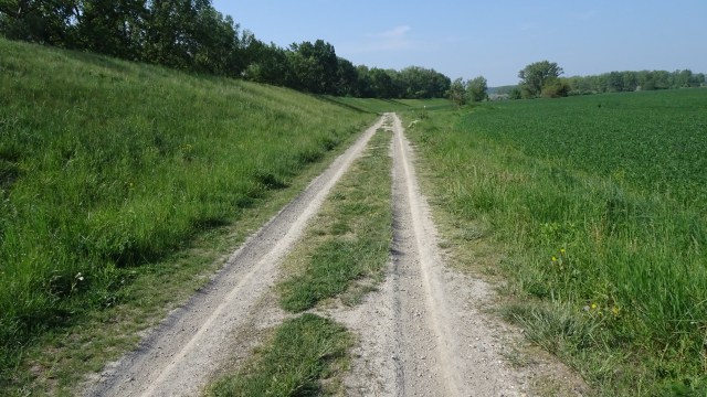 9531D83A-A014-41BF-AD2A-5B3BD734F8B6