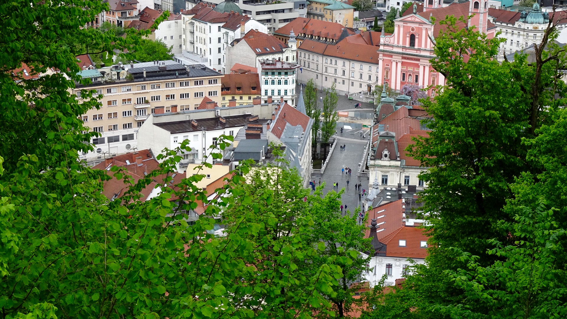 969E26B1-4766-4D17-89C5-2F6059CB841E